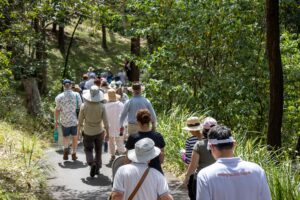 A group of people walking along a nature trail during a Queensland community walking event. 