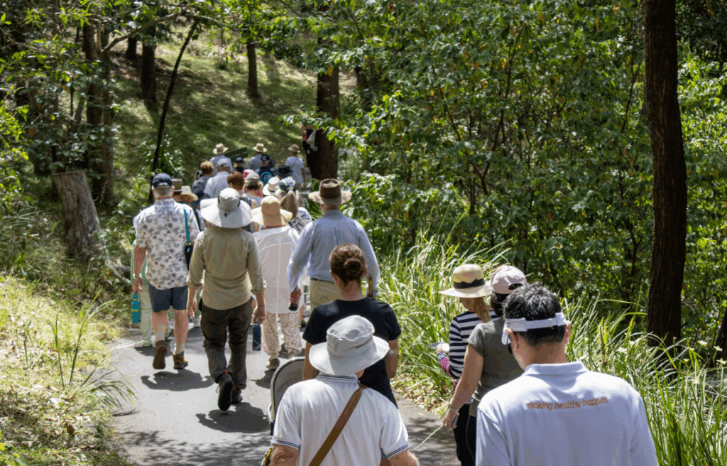 A group of people walking together on a forest trail, promoting physical activity and social connection in the community.