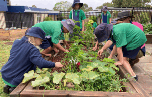 Children working together in a school garden to grow vegetables as part of a healthy eating and education program.